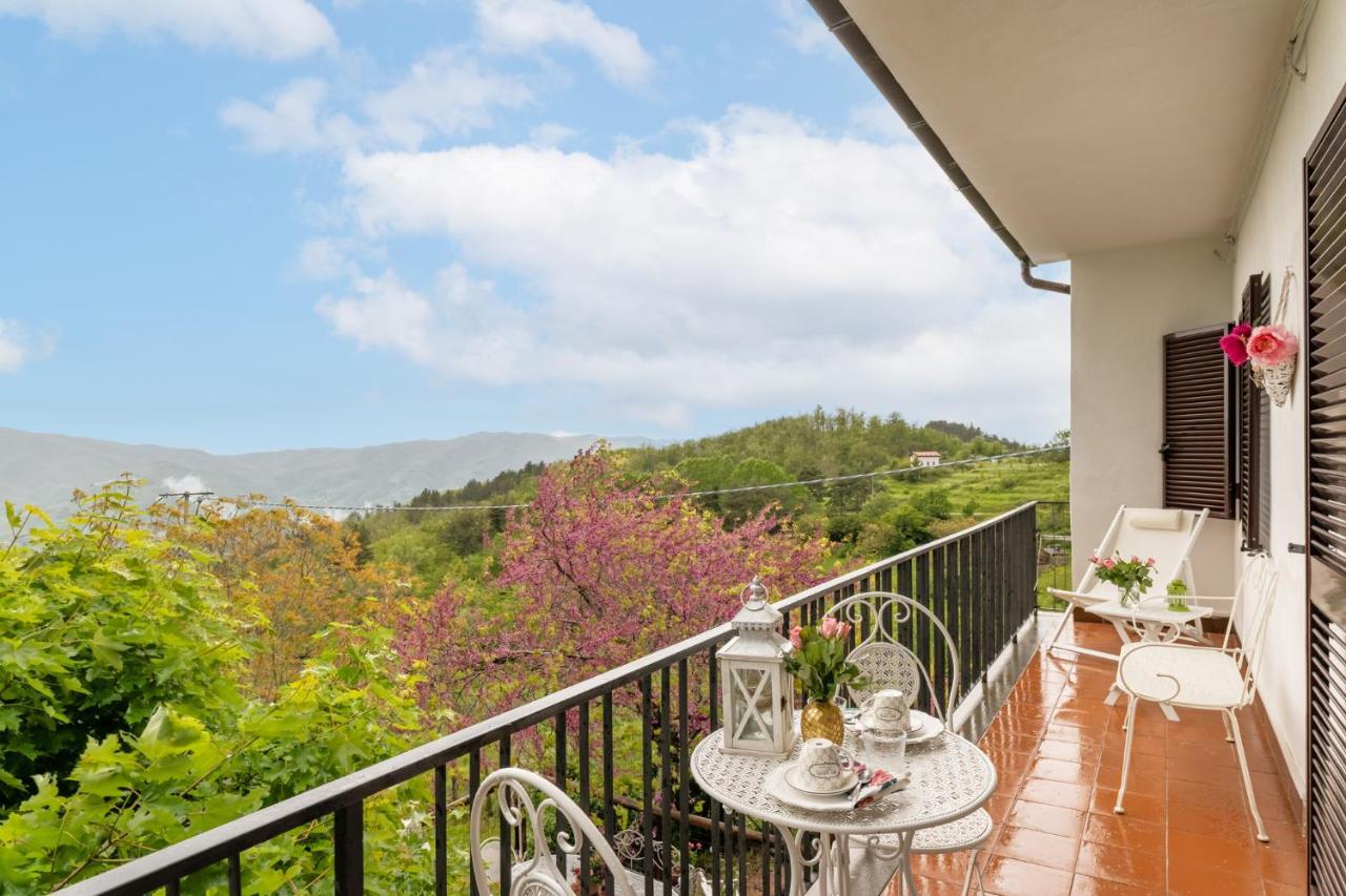 Sassi Scritti - Acero Montano Apartman Montefegatesi Kültér fotó