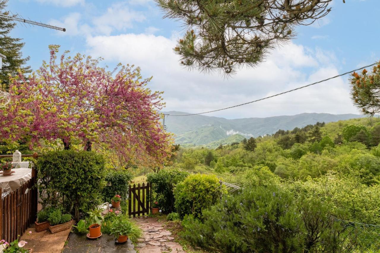 Sassi Scritti - Acero Montano Apartman Montefegatesi Kültér fotó